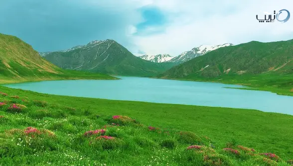 سد لار و دشت شقایق کجاست؟